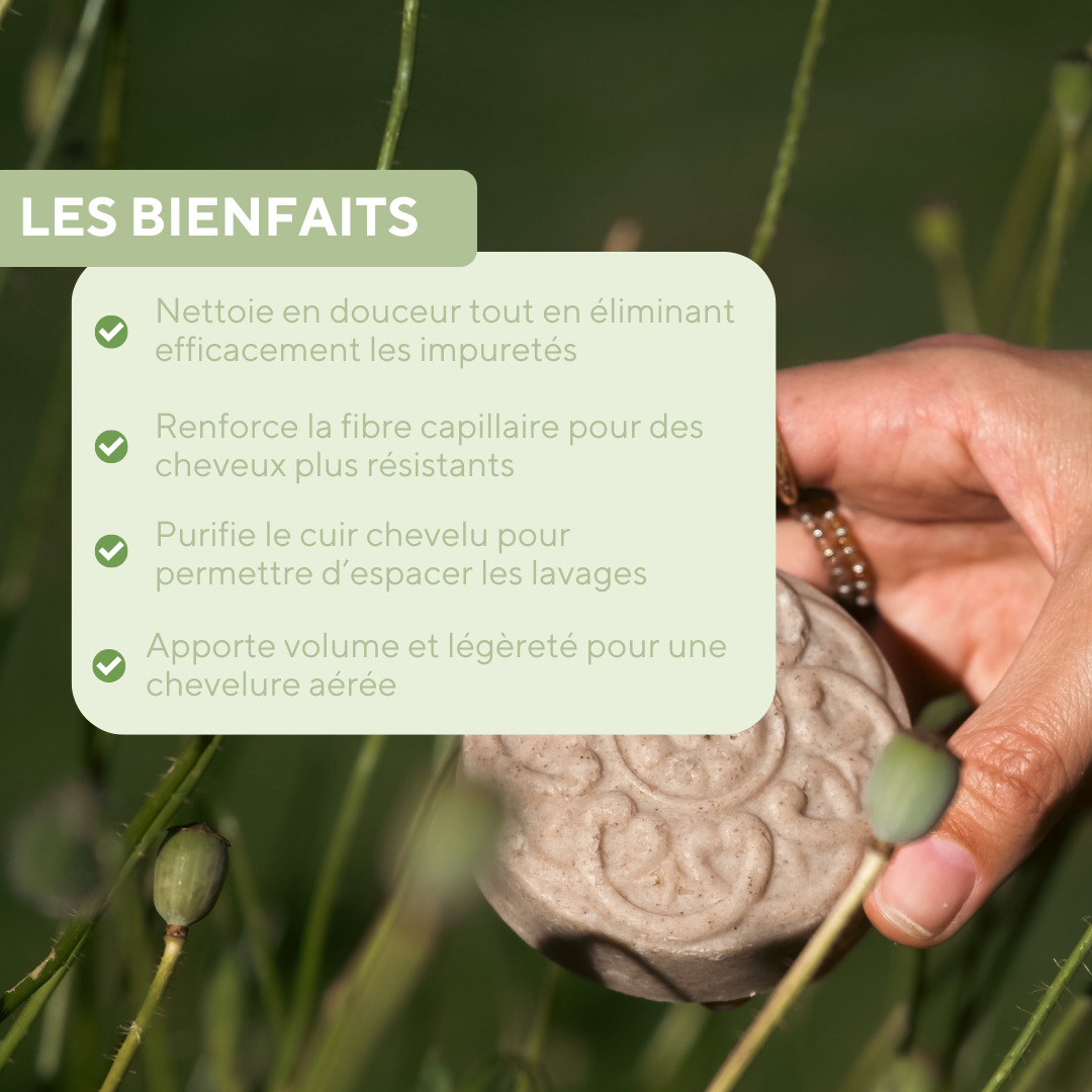 Shampoing solide rhassoul-ricin